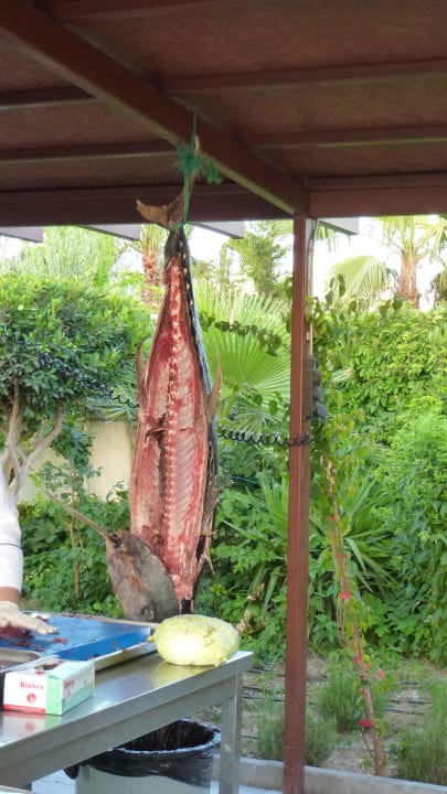 Fischabend ( Thunfisch ) Seamelia Beach Resort