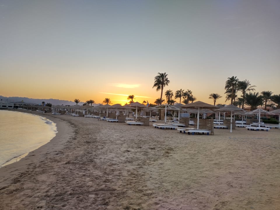 Strand Eagles Paradise Abu Soma