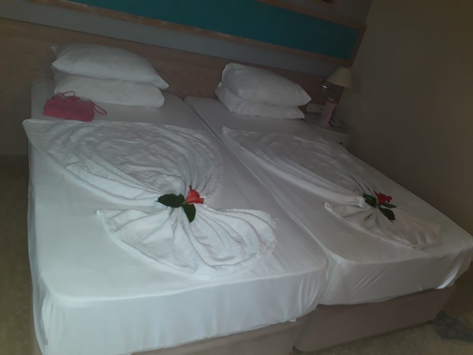 Zimmer Asteria Collection Side