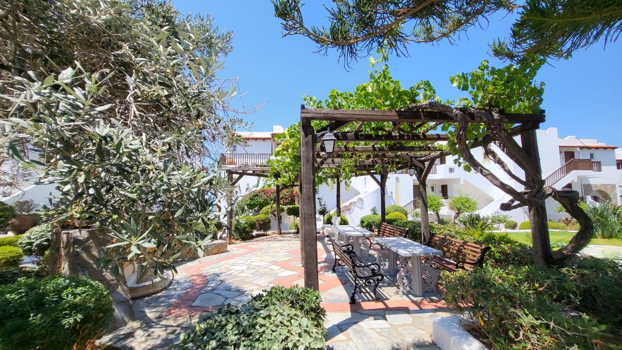 Gartenanlage Alexander Beach Hotel & Village Resort