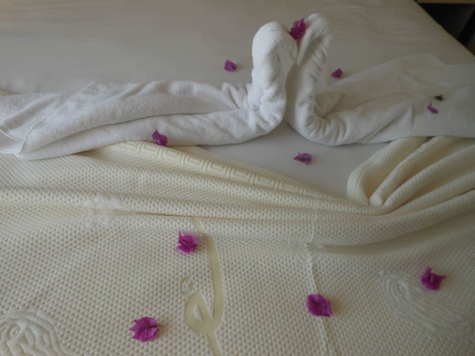 Danke ans Zimmermädchen FUN&SUN Smart Hane Sun Hotel