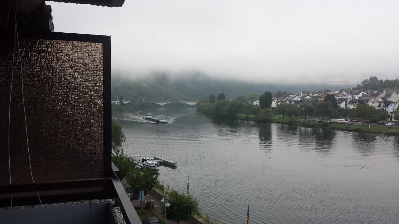 Mosel Hotel Zum Günen Kranz