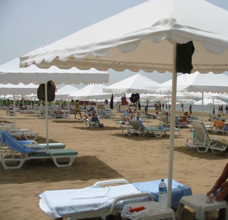 Strand Arum Barut Collection