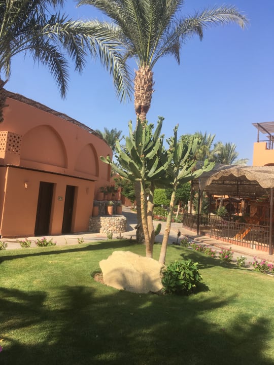 Gartenanlage Jaz Makadi Oasis Resort