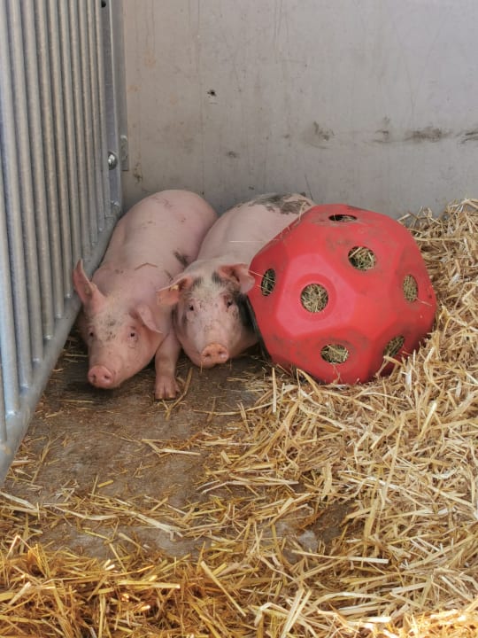 Sport & Freizeit Ferienhof Hausmann