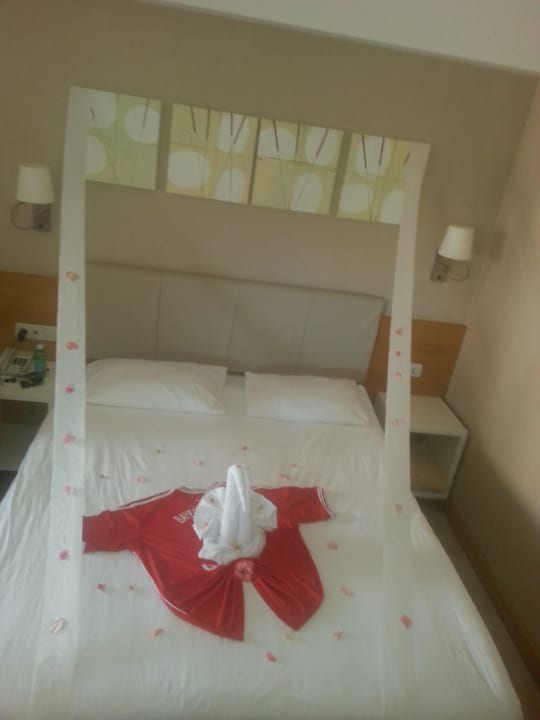 Geil Trendy Palm Beach (Adults Only, 16+)