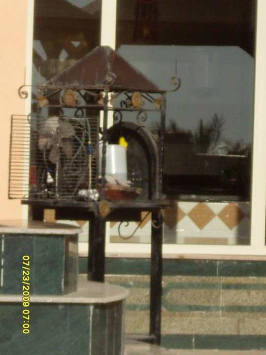 Shisha - Bar Beach Albatros Resort