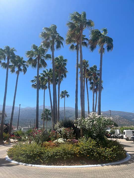 Gartenanlage allsun Hotel Carolina Mare