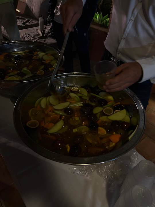 Gastro ROBINSON QUINTA DA RIA