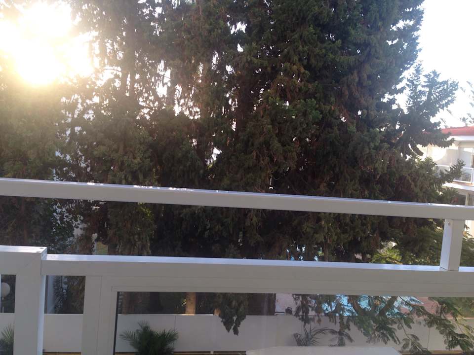 Sonnenaufgang 21.12.2015 8:20 Zimmer 130 Meerseite LABRANDA Marieta - Adults only