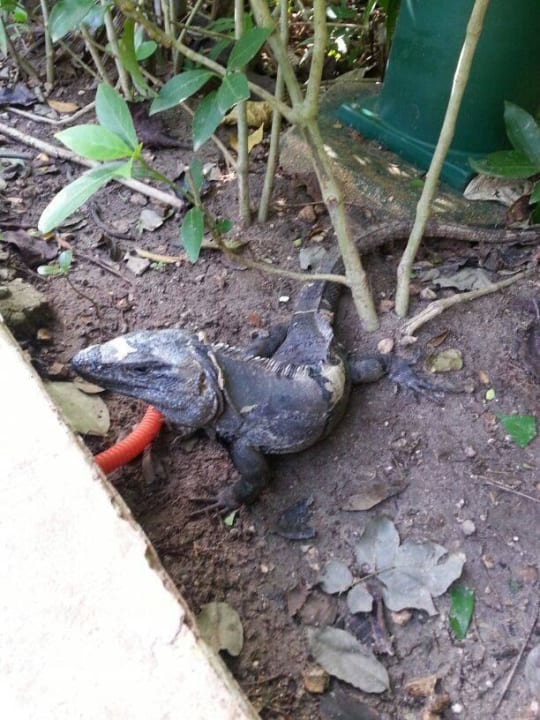 Hotel Catalonia Playa Maroma Catalonia Playa Maroma