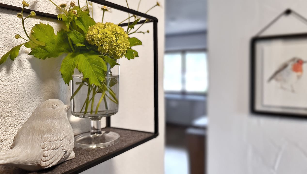 Zimmer Goldvogel Apartments