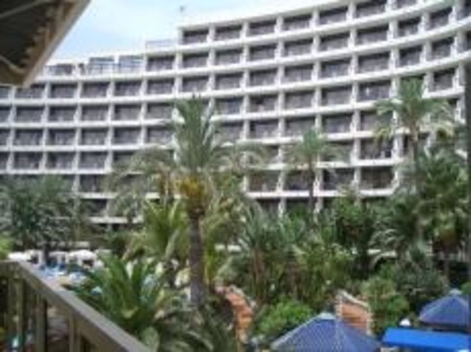Innenseite des Hotels mit Palmen Seaside Hotel Sandy Beach