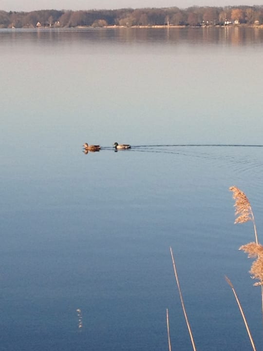 Ausblick Romantik Hotel Jagdhaus Eiden am See