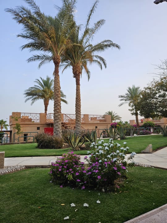 Außenansicht Shams Prestige Abu Soma-Adults Only