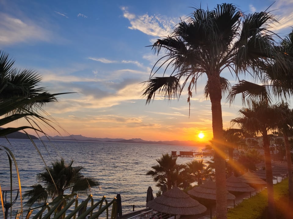 Ausblick TUI MAGIC LIFE Bodrum - Adult Only (16+)