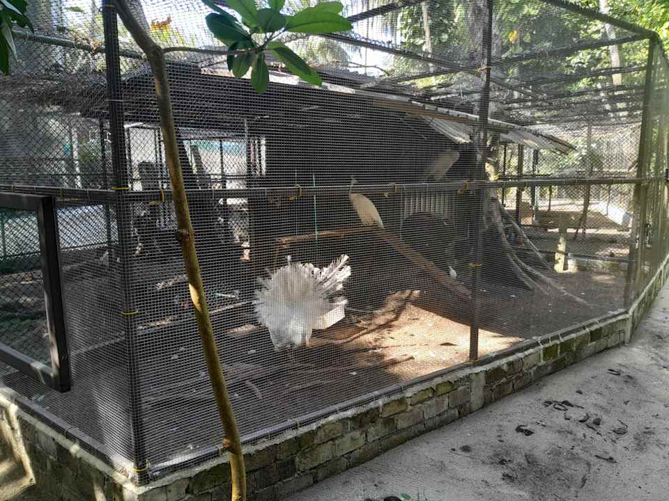 Sonstiges Kuramathi Maldives