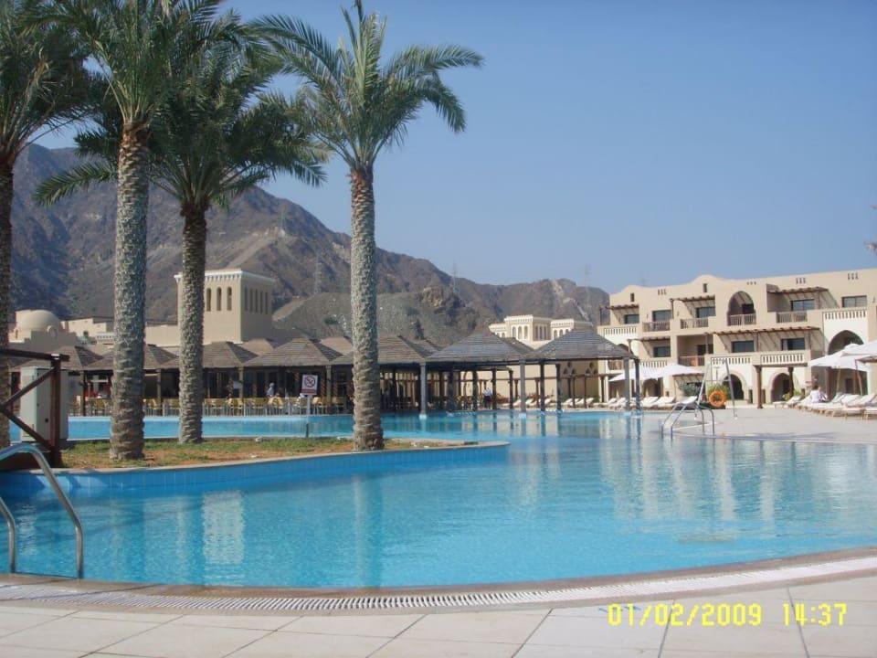 Am Pool Miramar Al Aqah Beach Resort