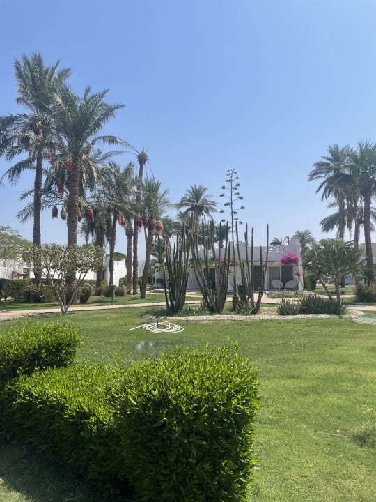 Gartenanlage Shams Safaga Resort