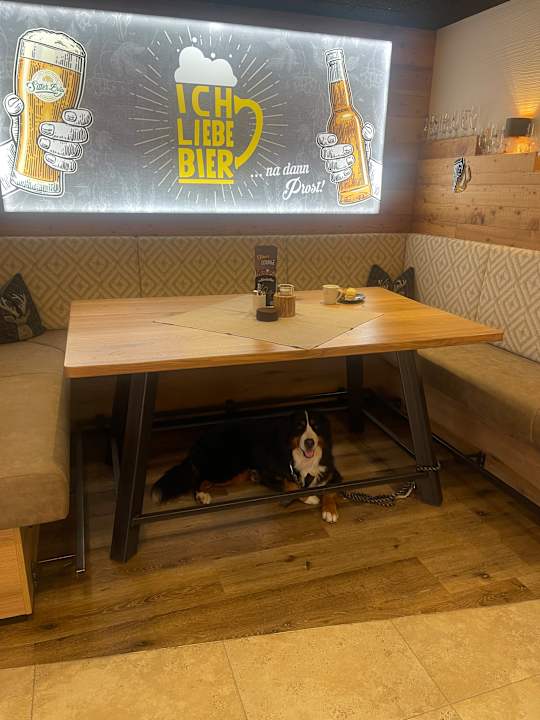 Gastro 1. Bier & Wohlfühlhotel Gut Riedelsbach