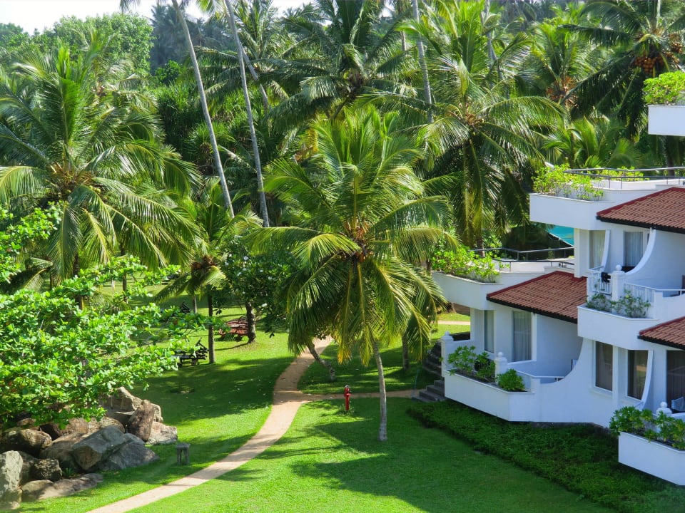 Blick in den Gaten Taj Bentota Resort & Spa