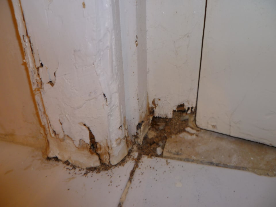 Toiletten Tür zerfressen von Holzwürmern El Mouradi Club Kantaoui