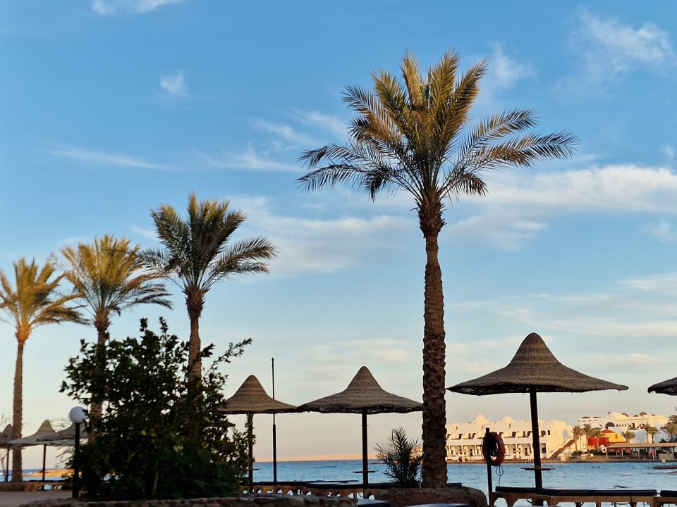 Ausblick Arabia Azur Resort