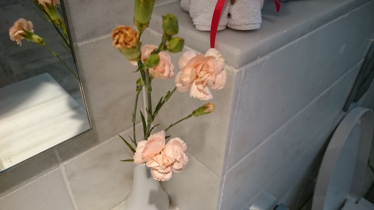 Zimmer Hipotels Hipocampo