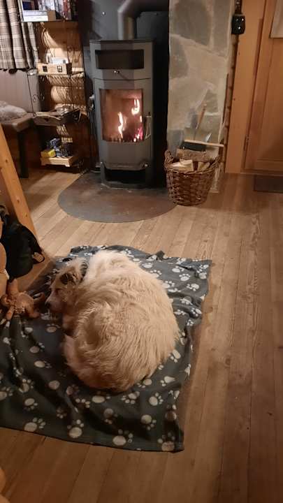 Zimmer Montara Suites Bodenmais