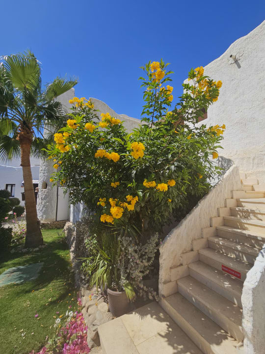 Gartenanlage Sharm Club Beach Resort