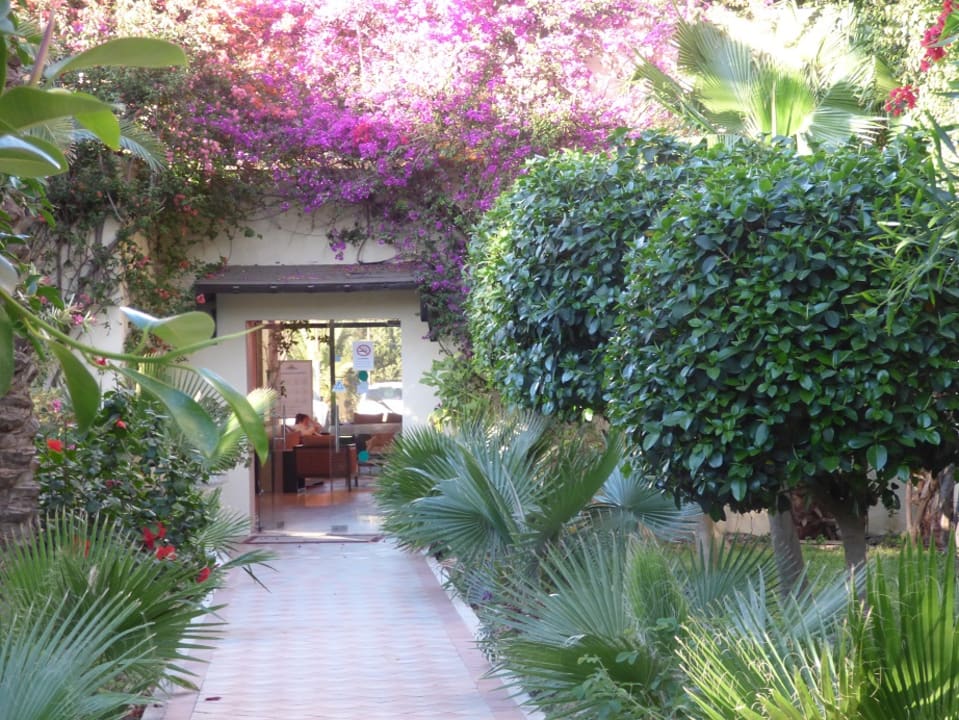 Gartenanlage Hotel Paradis Palace