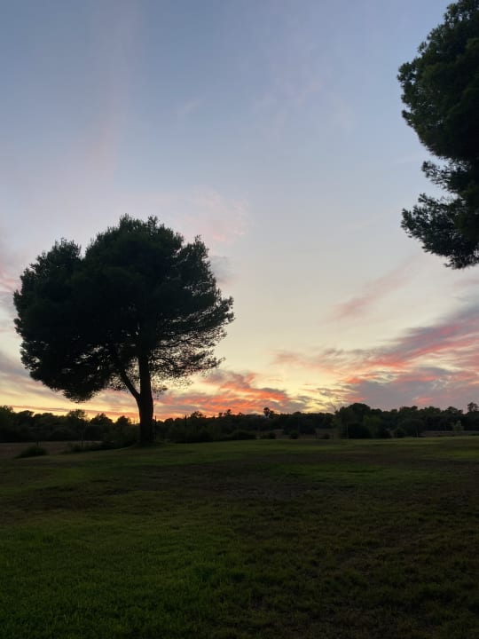 Gartenanlage Hotel Exagon Park