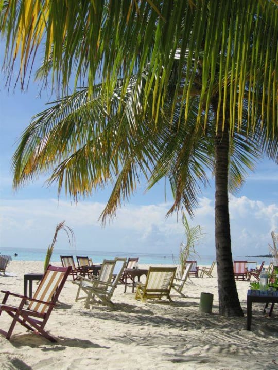 Sunsetbar Vilamendhoo Island Resort & Spa