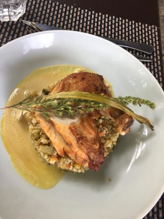 Gastro Seezeitlodge Hotel & Spa