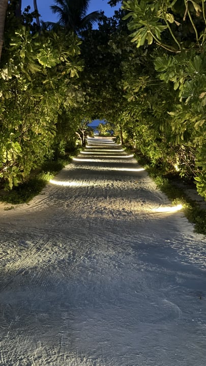 Gartenanlage Cinnamon Velifushi Maldives - Free One-Way Speedboat and 02 Kids Under 12 Stay & Dine Free