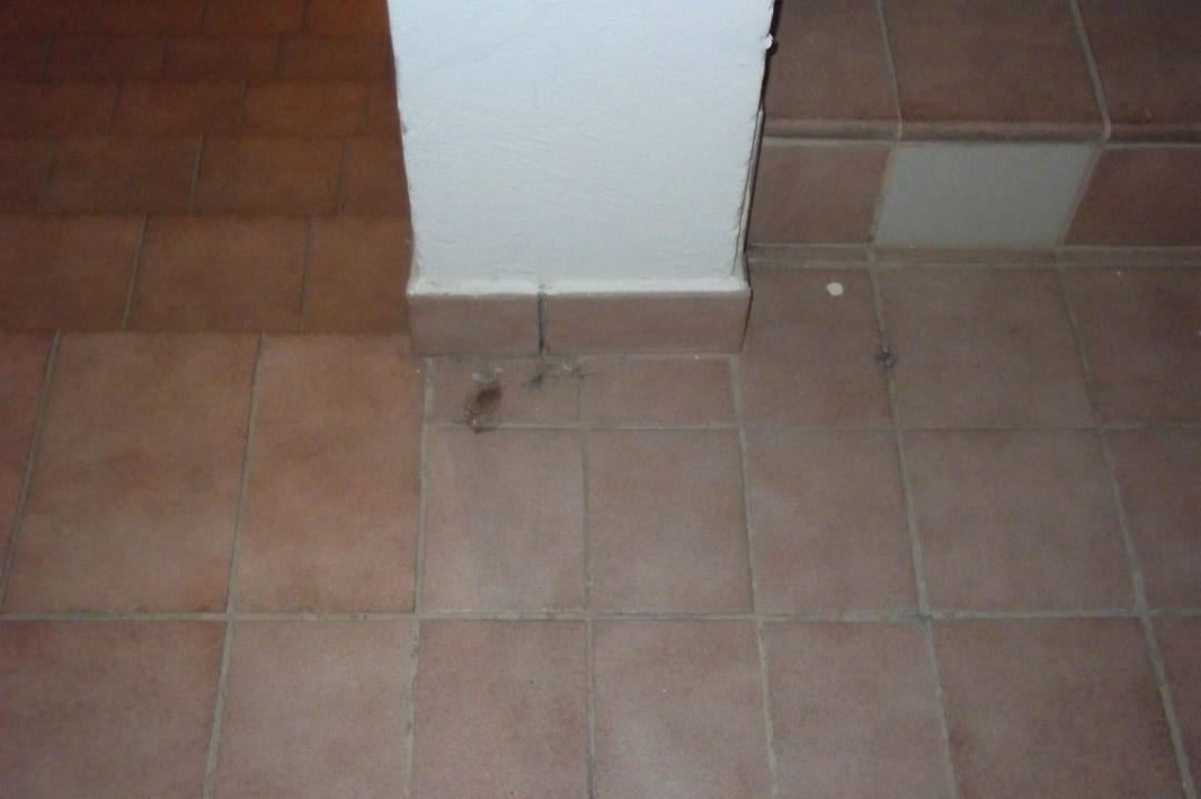 Dreck in allen Ecken Hotel THB Tropical Island