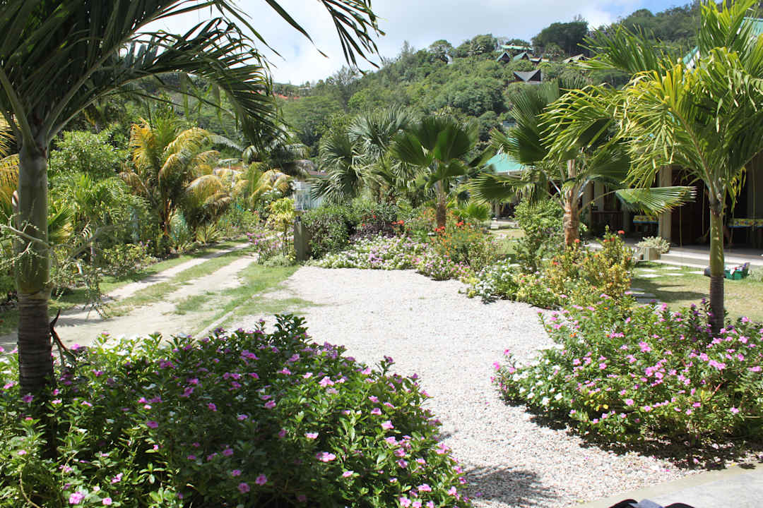 Garten Chalets Cote d'Or
