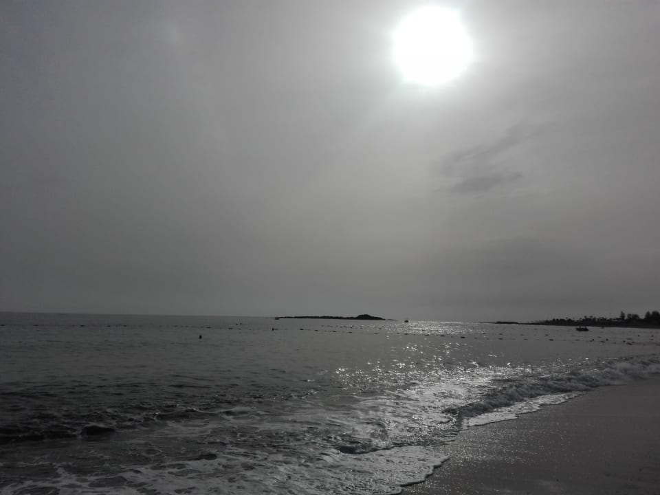 Strand Arycanda Kirman Premium