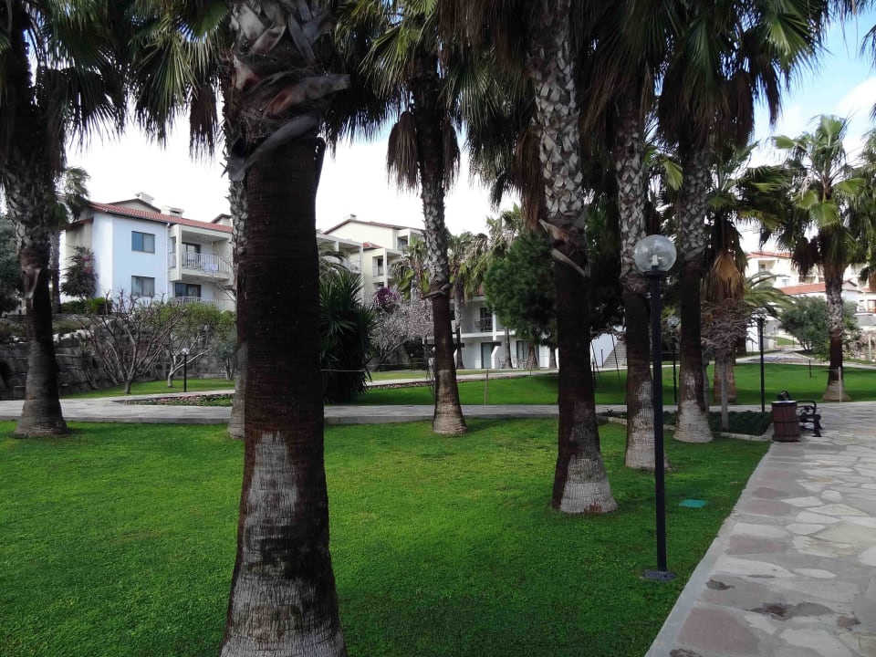 Anlage 2 Arum Barut Collection