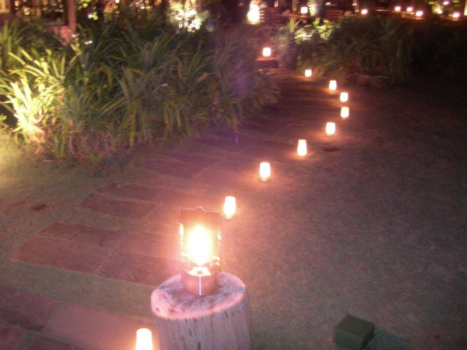Candle in the Wind The Sarojin