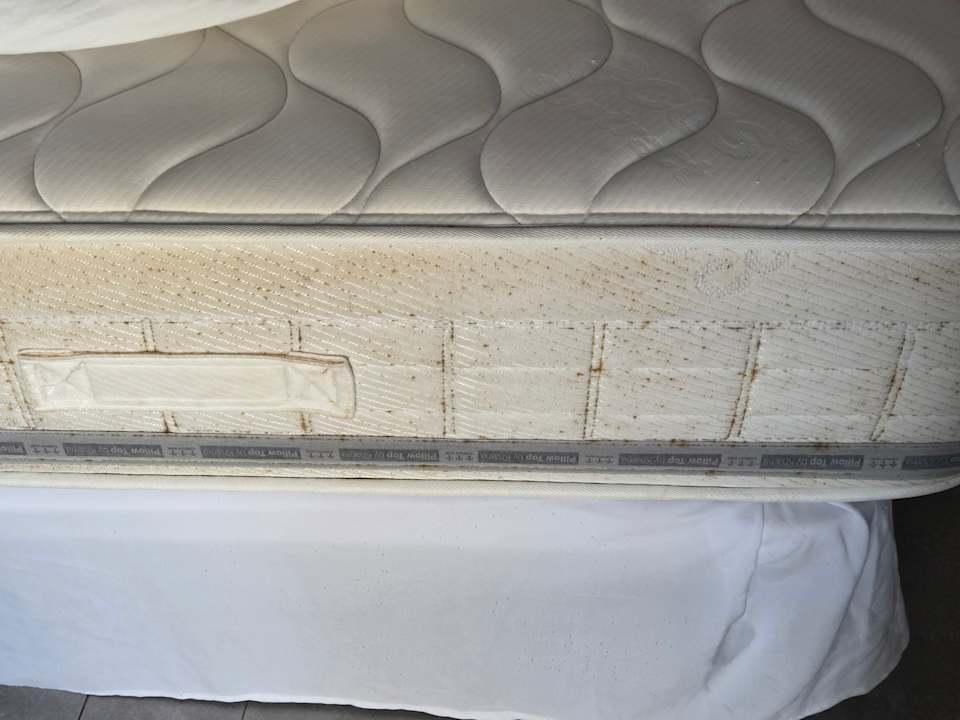 Zimmer Hotel Riu Palace Boavista