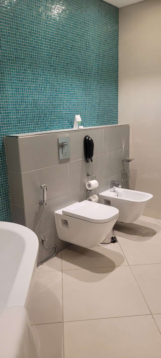 Zimmer Holiday Inn Doha - The Business Park