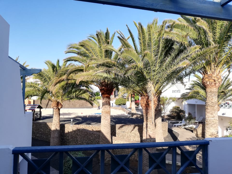 Ausblick Relaxia Olivina