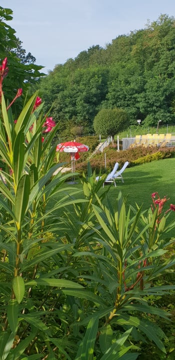 Garten Allegria Resort Stegersbach