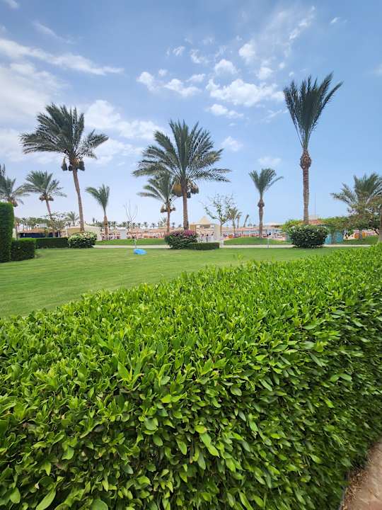 Gartenanlage Desert Rose