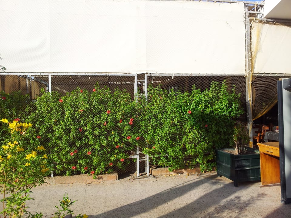 Restaurant Außenbereich Ghazala Beach