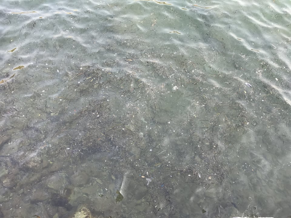 Strand Hotel Pine Bay Holiday Resort