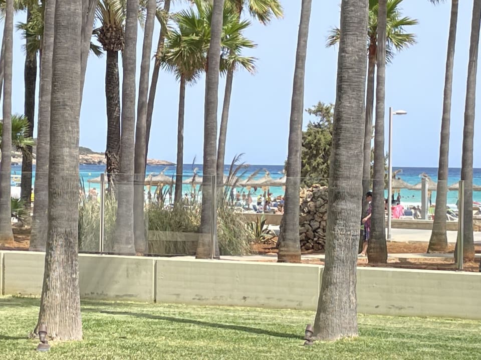 Gartenanlage Hipotels Mediterraneo Club