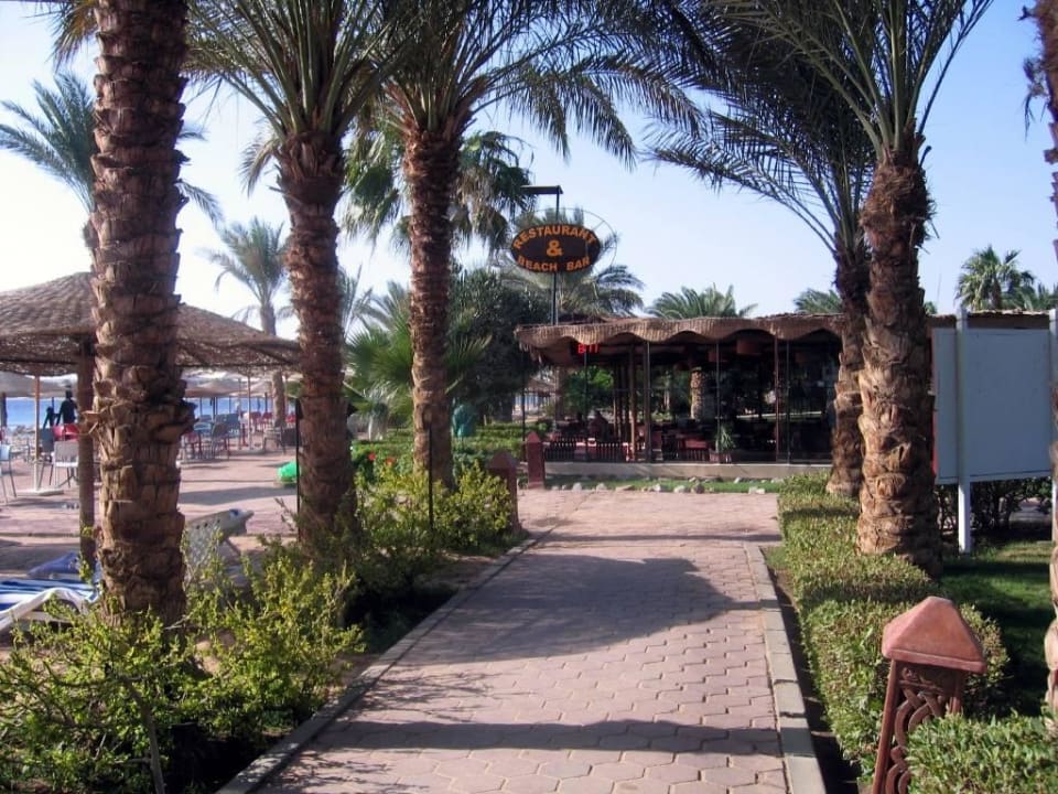 Beachbar am Strand Fort Arabesque Resort, Spa & Villas