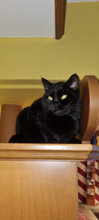 Sonstiges Der Murauer Gasthof Hotel Lercher